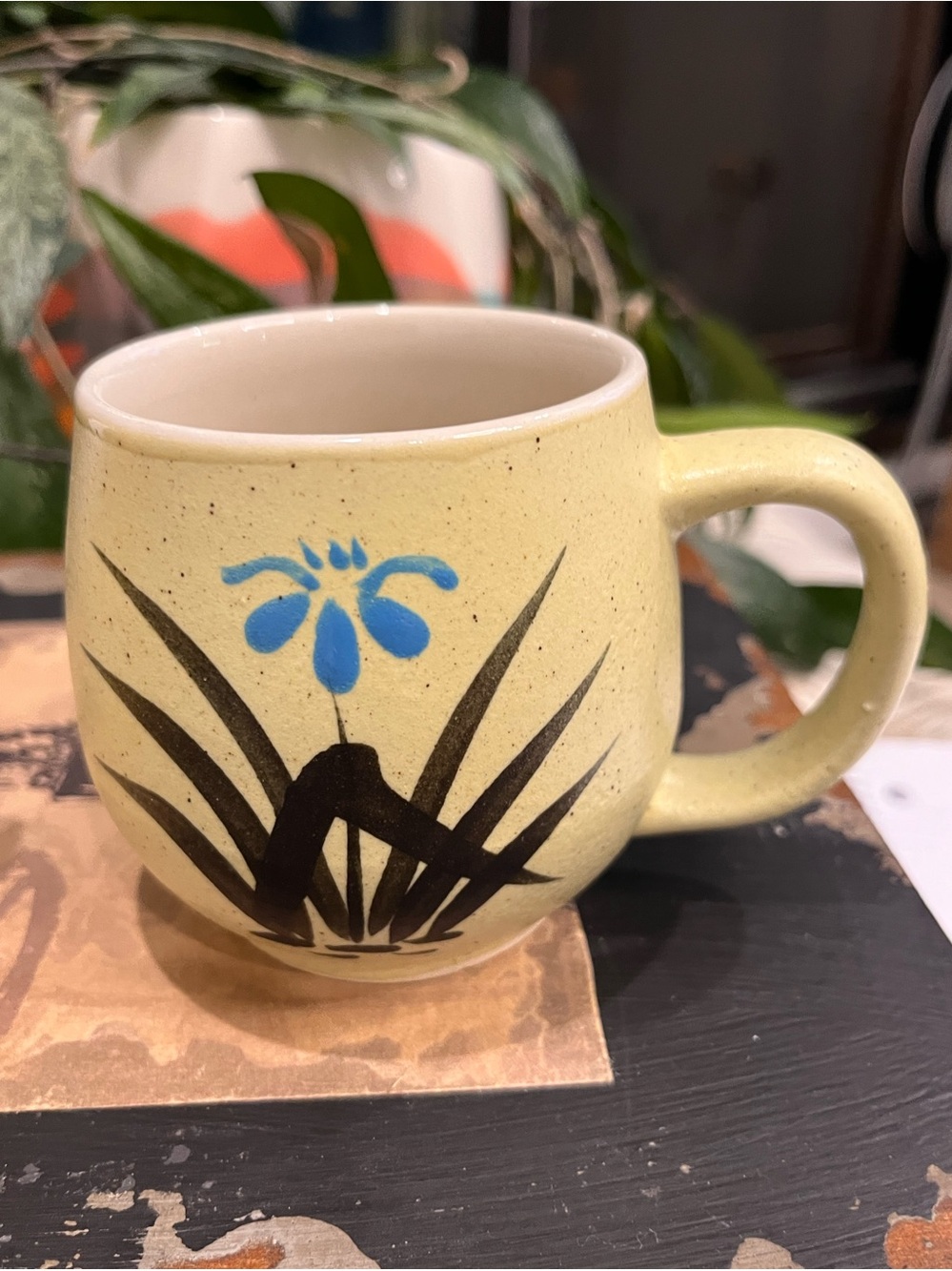 999 sale item Mugs: Otagari, Far Side and Native American mugs
